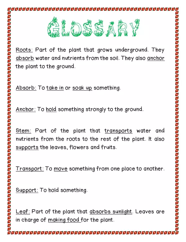 Plants Glossary