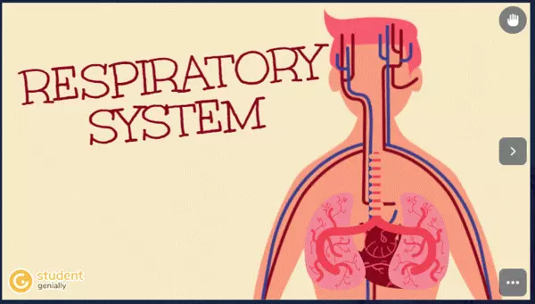 Genially Respiratory System
