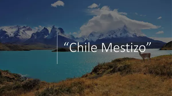 Chile Mestizo