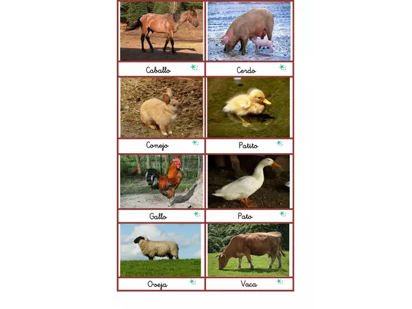 Animales de la granja en su hábitat