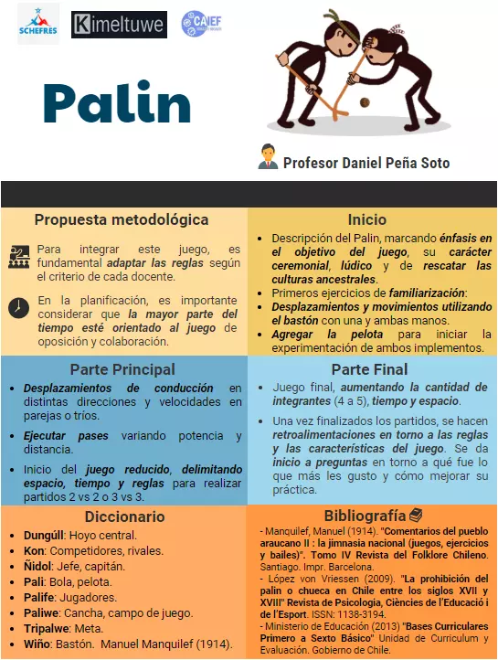 El Palin ¿Cómo integrarlo en las clases de Educación Física y Salud? 2