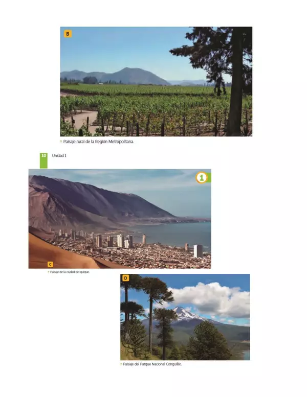Guía Zonas Naturales de Chile