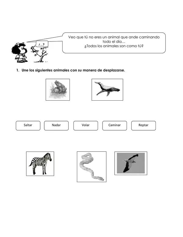 Guía "Animales y sus características"