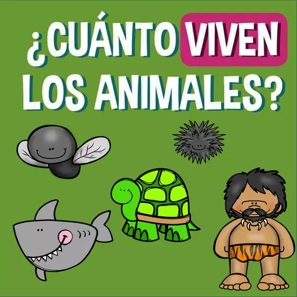 CONJUNTO DE TARJETAS ¿CUÁNTO VIVEN LOS ANIMALES?