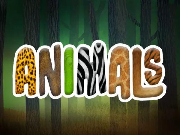 Jungle animals flashcards.