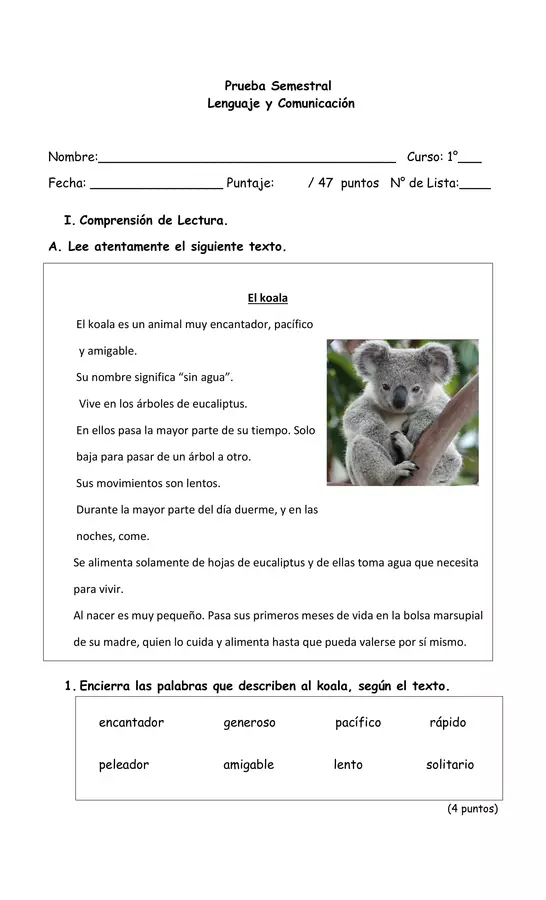 Prueba de Lenguaje y Comunicación "El koala"