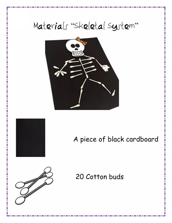 Craft Skeletal System