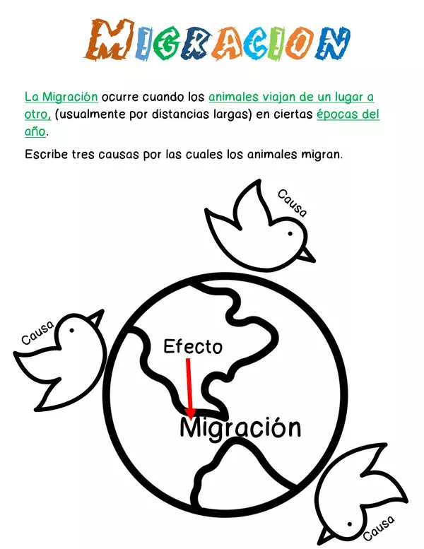 Migración: Organizador Gráfico