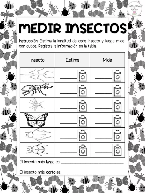 Medir insectos - Clase 3 