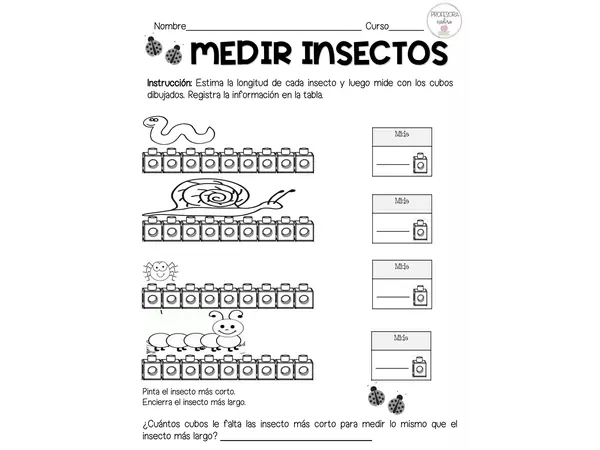 Medir insectos - Clase 4 