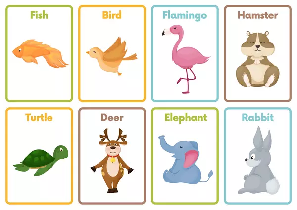 Flashcards: Animals Illustration.