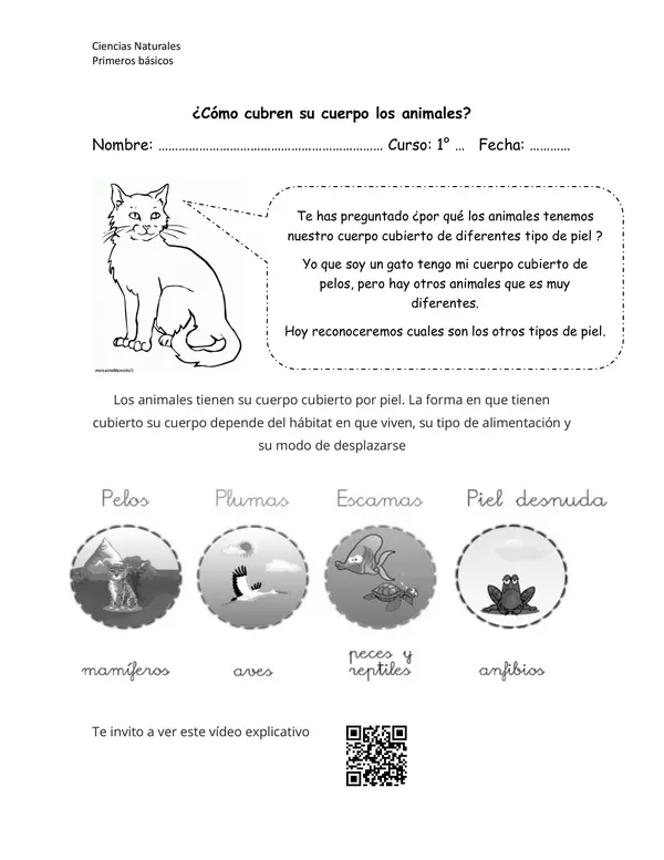 CUBIERTA CORPORAL DE LOS ANIMALES"
