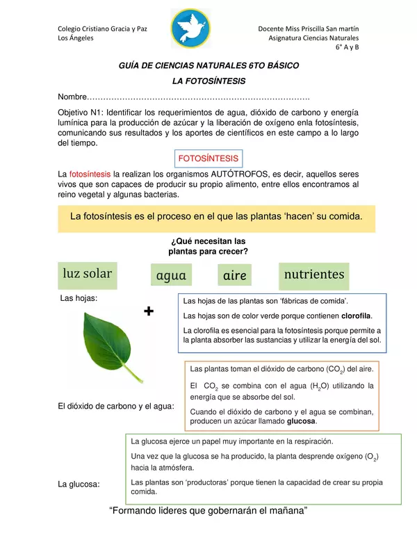 Guía de aprendizaje "LA FOTOSÍNTESIS"