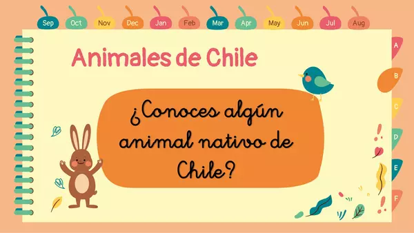 Animales Nativos de chile.