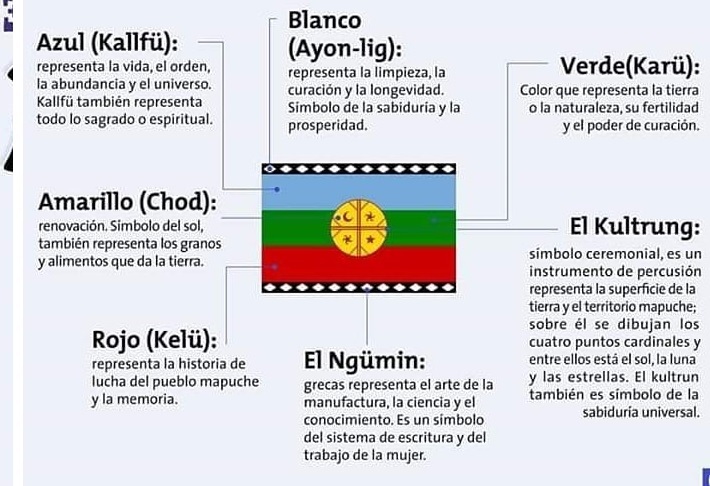 bandera mapuche.jpg
