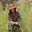 estefany villca - @estefany.villca