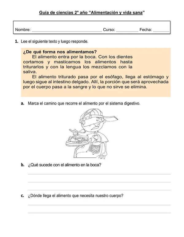 Guía de ciencias 2° año "Alimentación y vida sana"