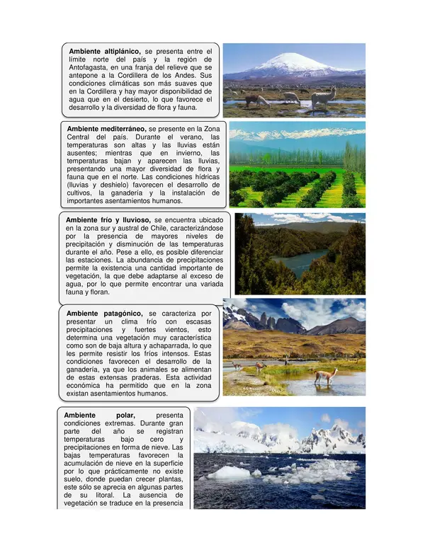 Guia de Historia y Geografia 6 Basico: Zonas Naturales De Chile