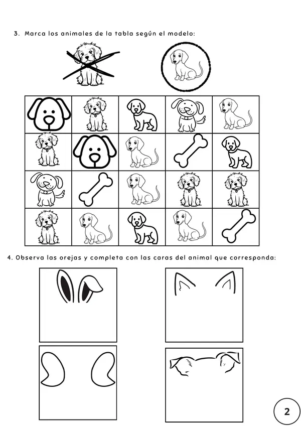 Discriminación visual