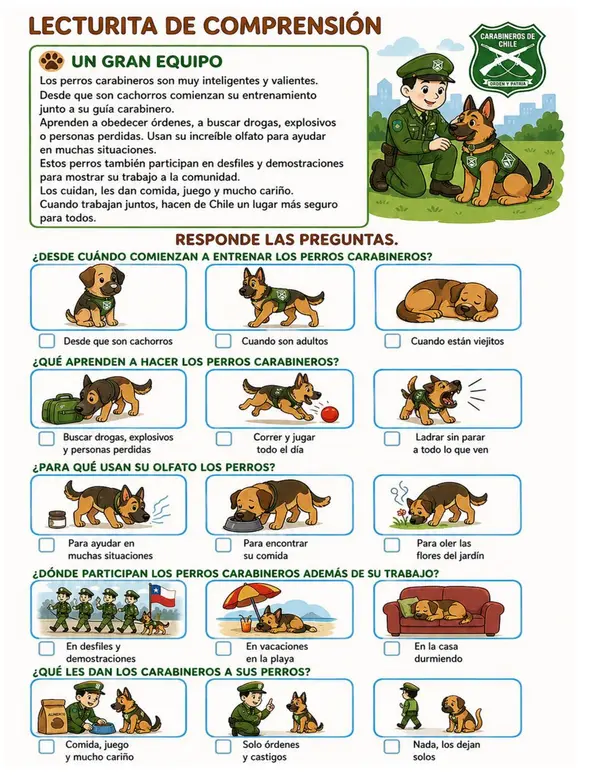 Comprension lectora