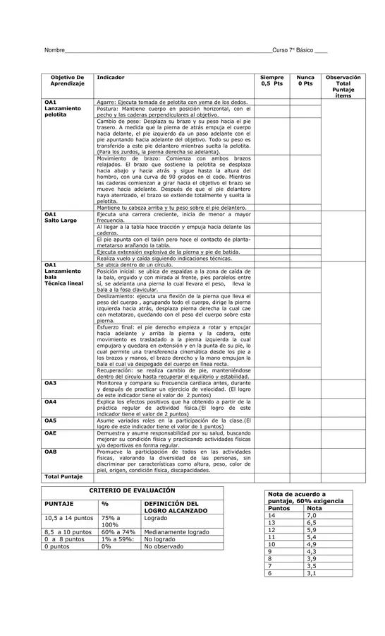 Evaluacion de Educacion Fisica 7 Basico N4: Lanzamiento de Pelotita