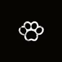 Black_n'_White - @black.n.white