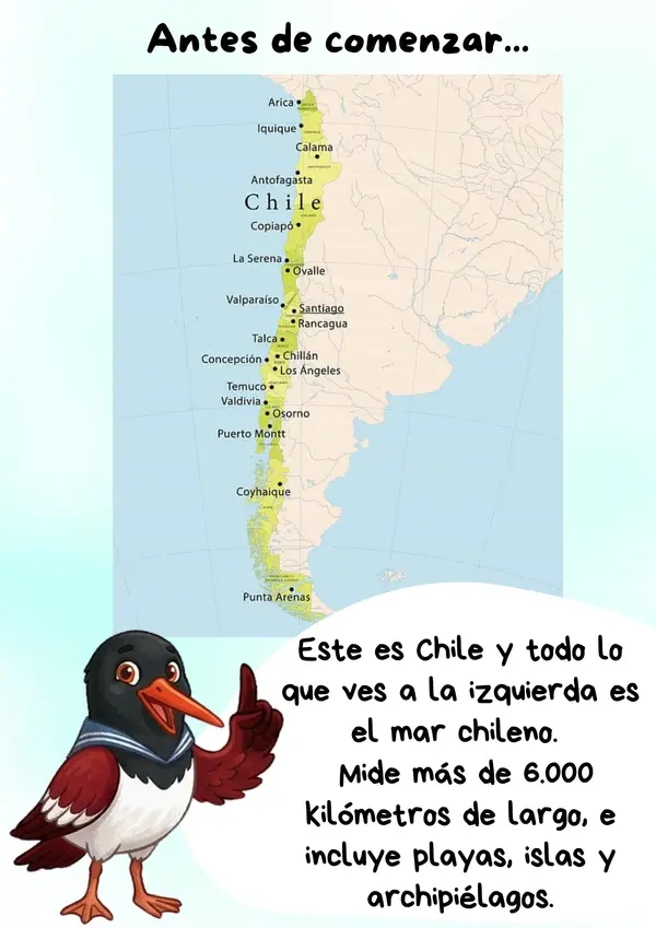 Ilustraciones coloreables Animales marinos de Chile