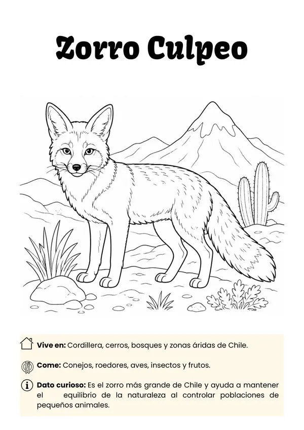 Libro para pintar de fauna chilena