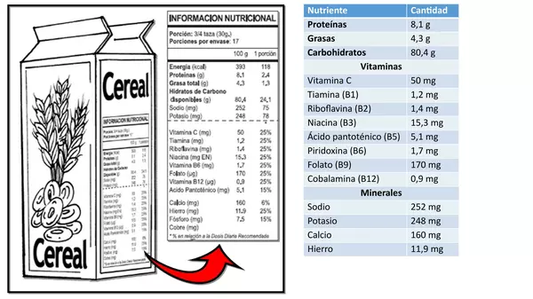 Presentacion Cs Naturales, Octavo Basico, Nutrientes