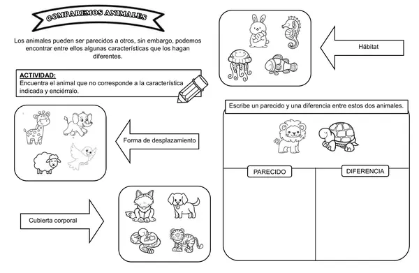 Comparar animales según sus características 