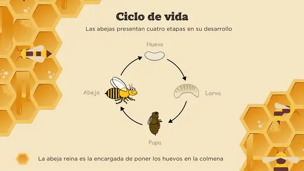 Presentación PPT Aprendamos de las abejas animales No Print