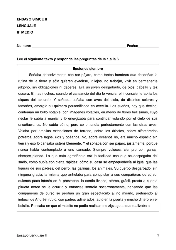Ensayo SIMCE Lenguaje, "2dos medios" 