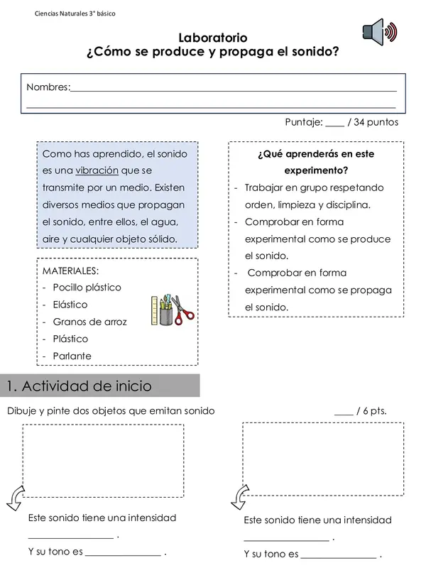 Activida experimental "El sonido"
