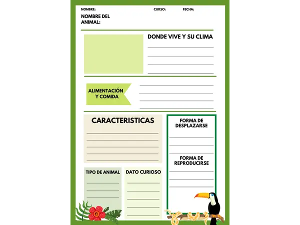 Ficha informativa