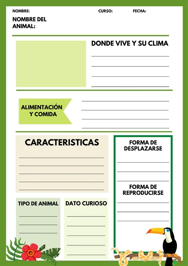 Ficha informativa