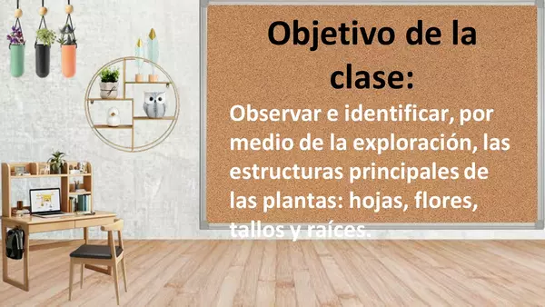 Partes de las plantas