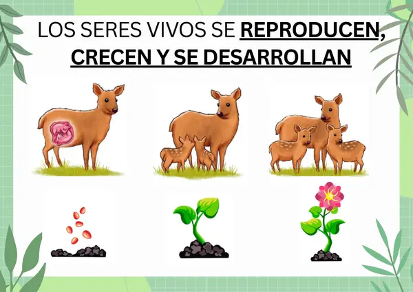 Seres vivos