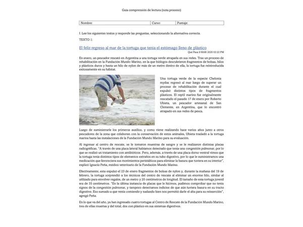 Guía de comprensión lectora (séptimo básico)