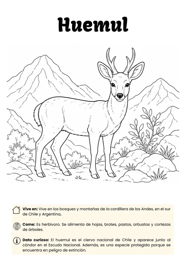 Libro para pintar de fauna chilena