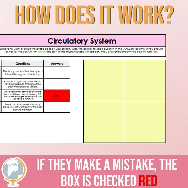 Circulatory System Mystery Puzzle