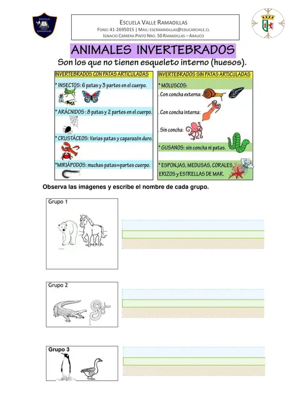 Guía vertebrados e invertebrados 2do Básico Ciencias Naturales