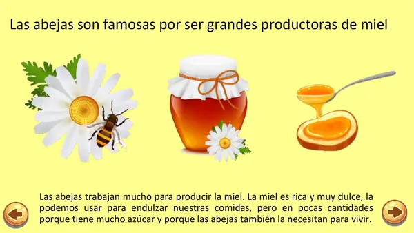 La Abeja Haragana. Clase N°1. Introducción a las abejas 