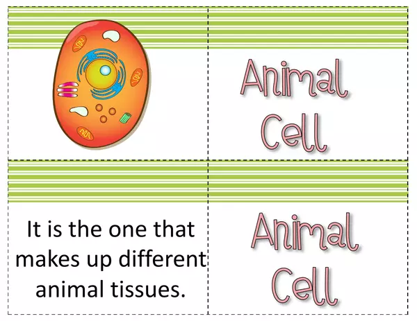 Games to practice cell vocabulary