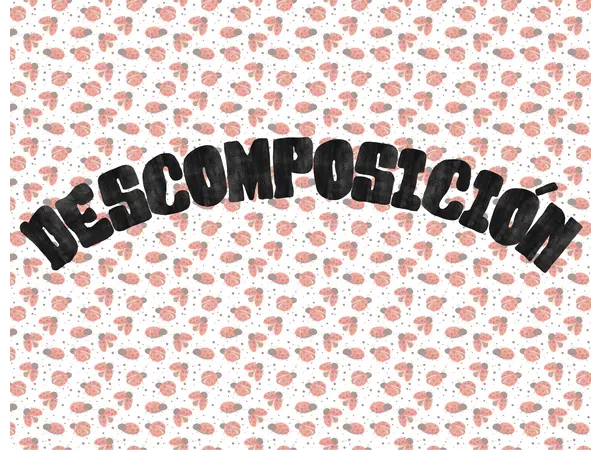 Descomposición
