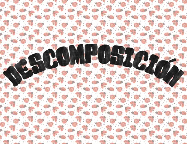 Descomposición