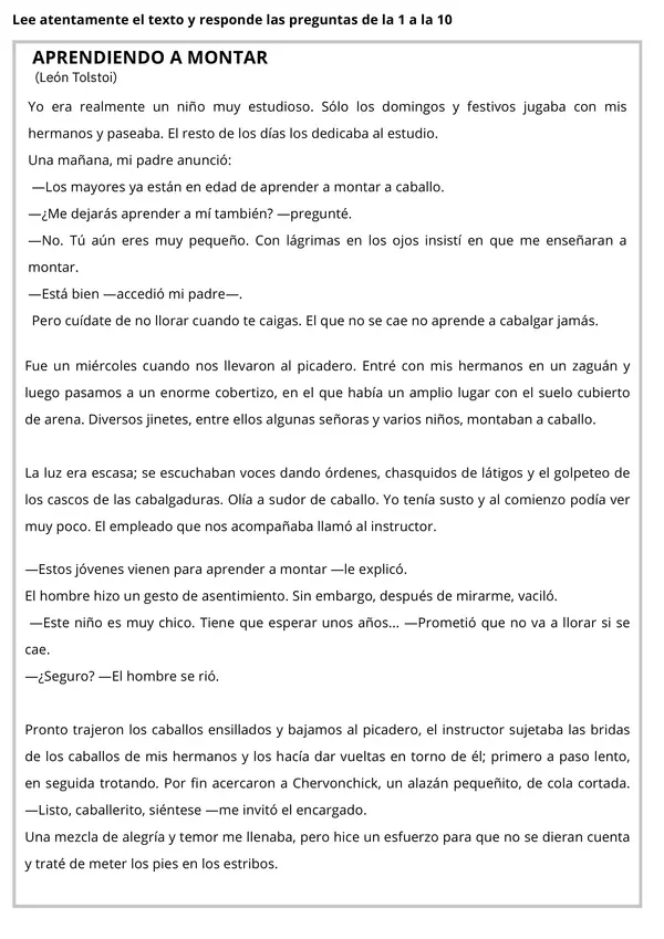 Ensayo SIMCE Lenguaje 4to básico N°5