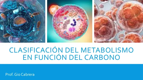METABOLISMO MICROBIABO 