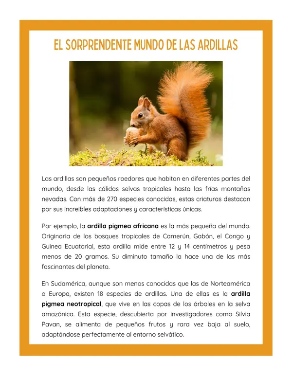 Comprensión lectora: Artículo informativo - El sorprendente mundo de las ardillas