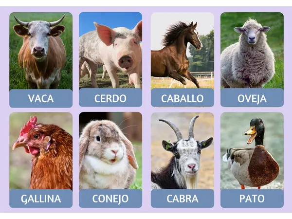 ANIMALES
