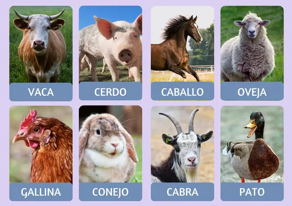 ANIMALES